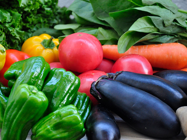 ヒアルロン酸ECM・E