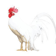 ヒアルロン酸ECM・E