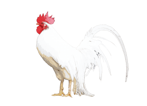 ヒアルロン酸ECM・E